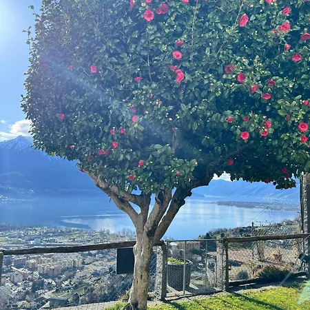 Casa Reto - Im Tessin Semesterbostad *